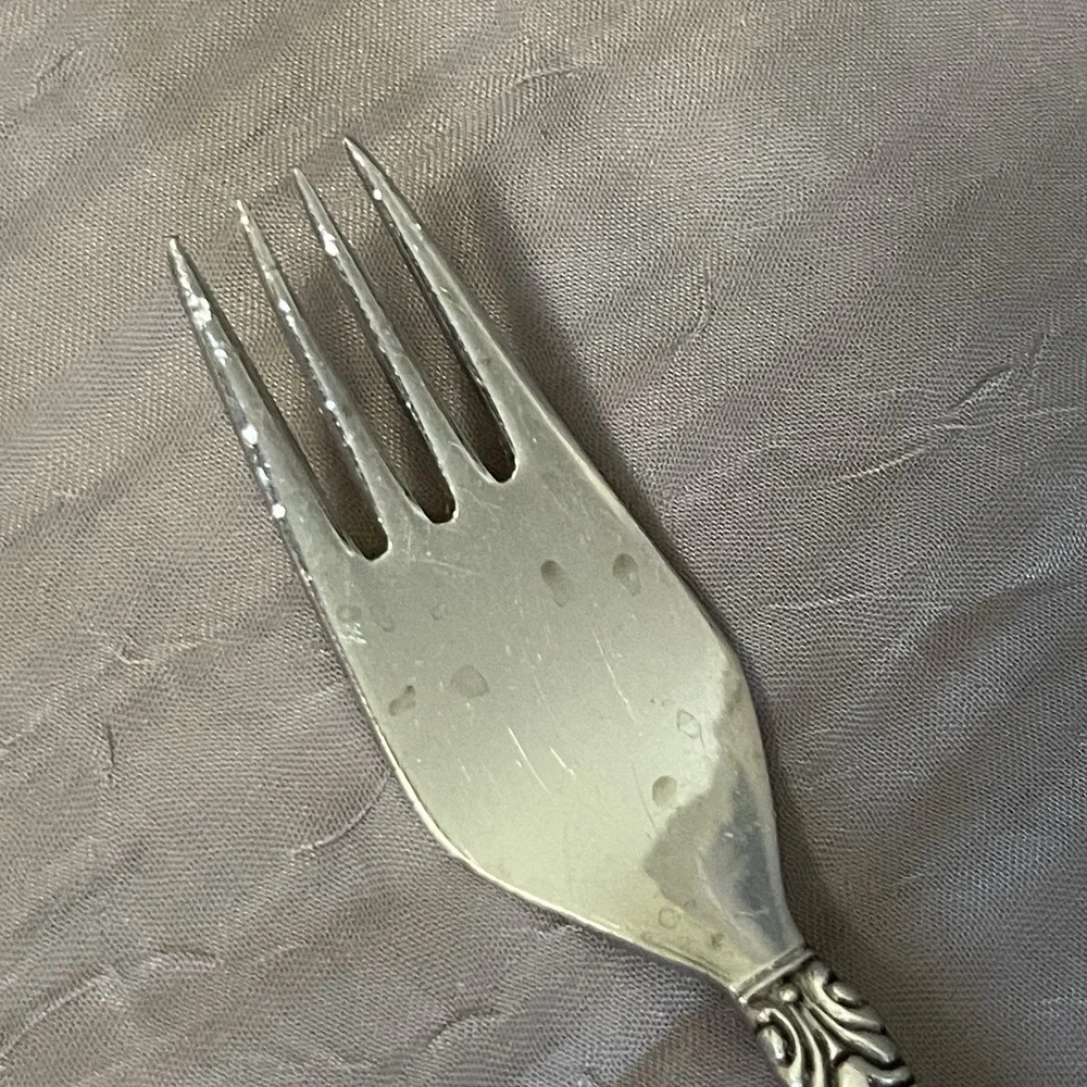 Vintage Erika 1883 F.B. ROGERS JAPAN Stainless Assorted pieces of Flatware